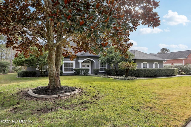 obstructed view of property with a front yard