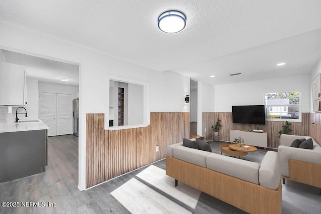 living room featuring a textured ceiling, hardwood / wood-style flooring, and sink