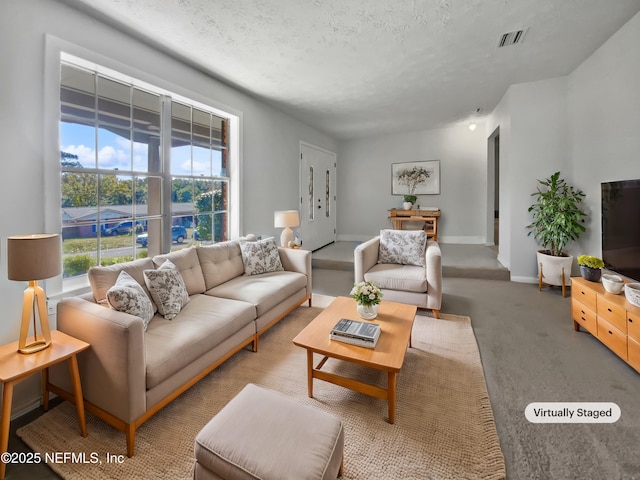 carpeted living room with a textured ceiling and a wealth of natural light