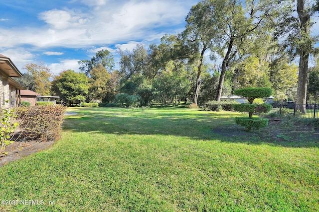 view of yard