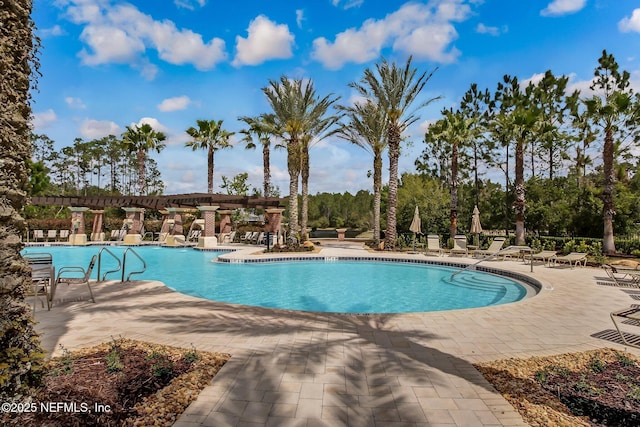 view of swimming pool with a patio