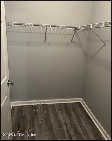 spacious closet featuring hardwood / wood-style flooring