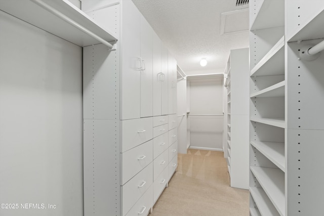 walk in closet with light colored carpet