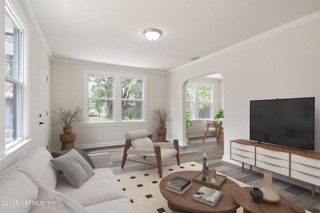 living room featuring hardwood / wood-style floors and ornamental molding