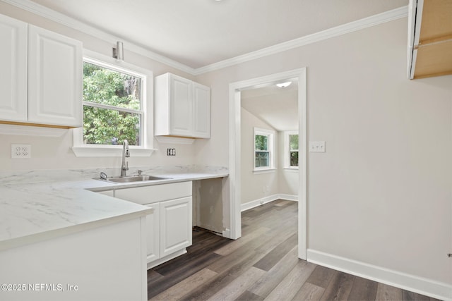 kitchen with dark hardwood / wood-style floors, white cabinetry, ornamental molding, and sink