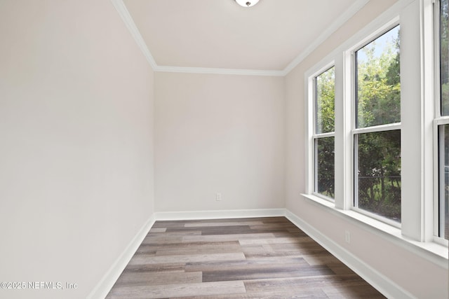 spare room featuring light wood-type flooring and ornamental molding