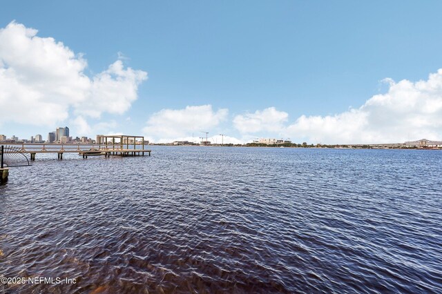 dock area with a water view