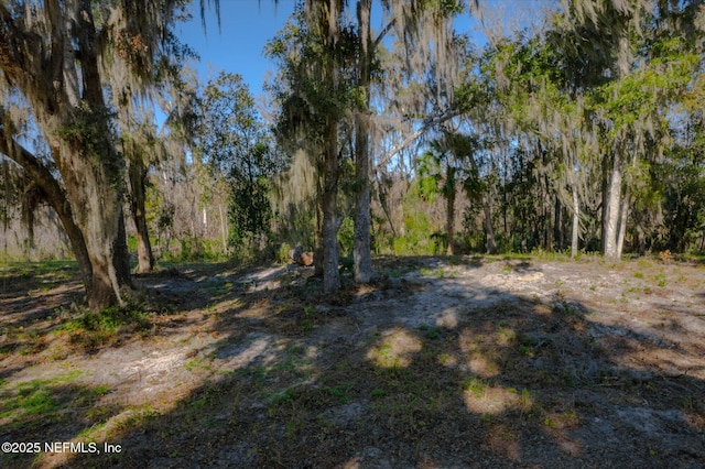 Listing photo 3 for 114 Ridgeline Ave, Satsuma FL 32189