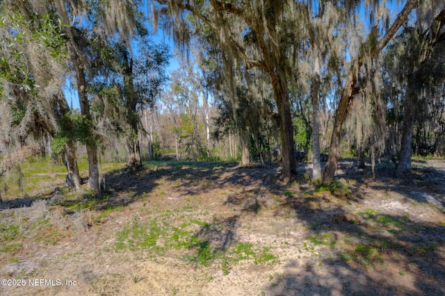 Listing photo 2 for 114 Ridgeline Ave, Satsuma FL 32189