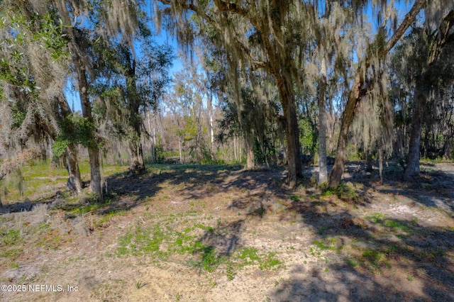 114 Ridgeline Ave, Satsuma, FL 32189