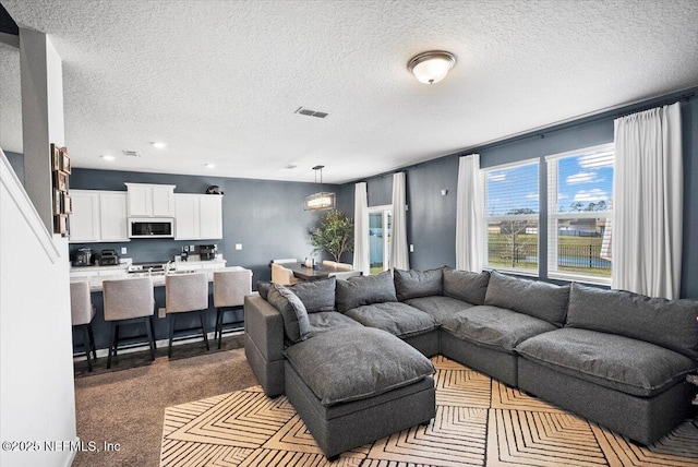 carpeted living room featuring a textured ceiling and sink