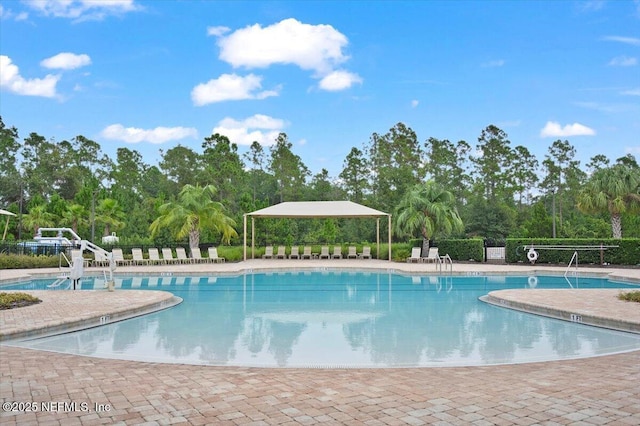 view of pool featuring a patio area