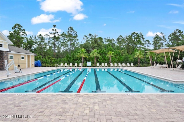 view of pool with a patio