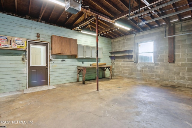 basement with wooden walls