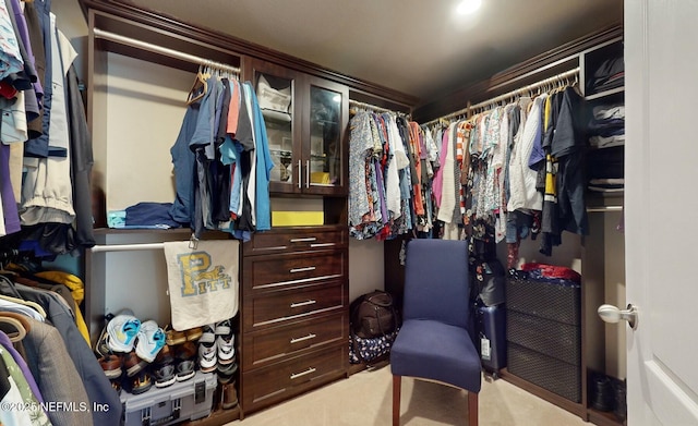 spacious closet with light carpet