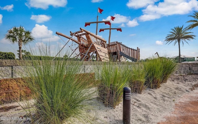 view of jungle gym