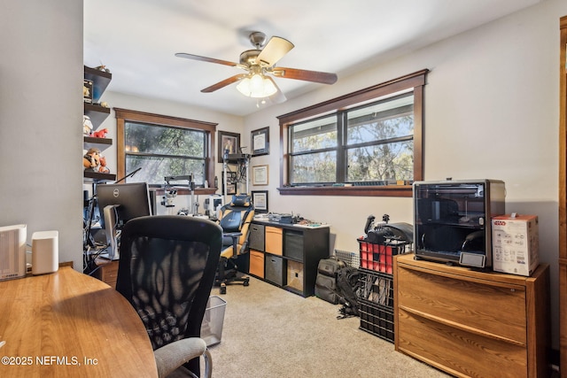 home office featuring ceiling fan and light carpet