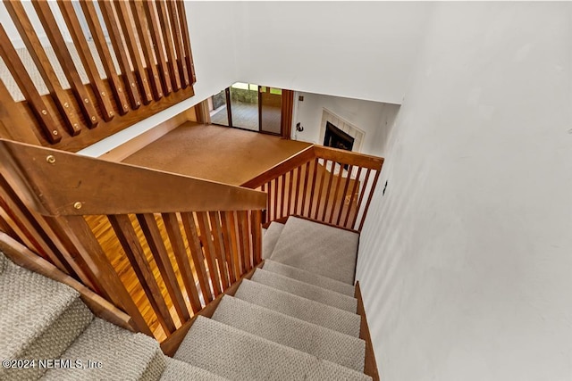 staircase with carpet floors