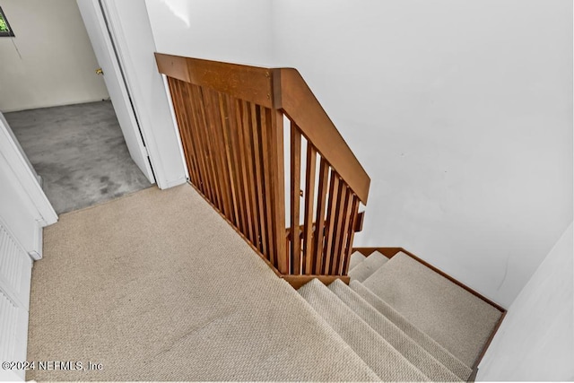 stairs with carpet floors