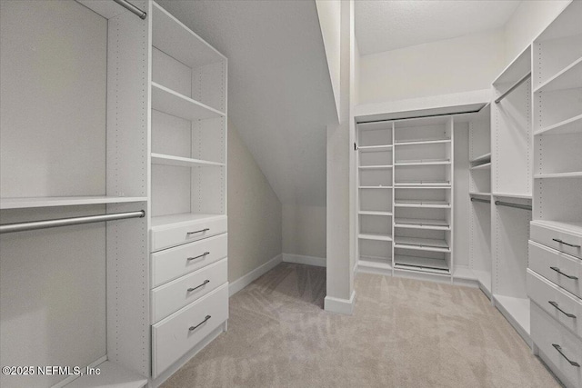 spacious closet with light colored carpet