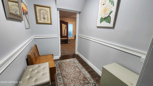 hallway featuring dark hardwood / wood-style floors