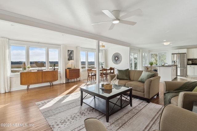 living room featuring ceiling fan and light hardwood / wood-style flooring