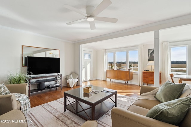 living room with ornamental molding, ceiling fan, a healthy amount of sunlight, and hardwood / wood-style floors