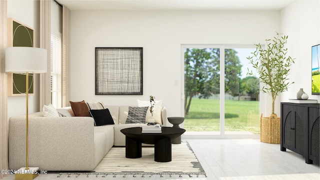 living room featuring light hardwood / wood-style floors and a wealth of natural light