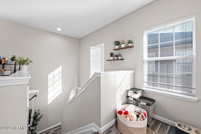 stairs with hardwood / wood-style floors