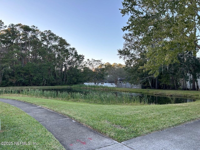 view of yard with a water view