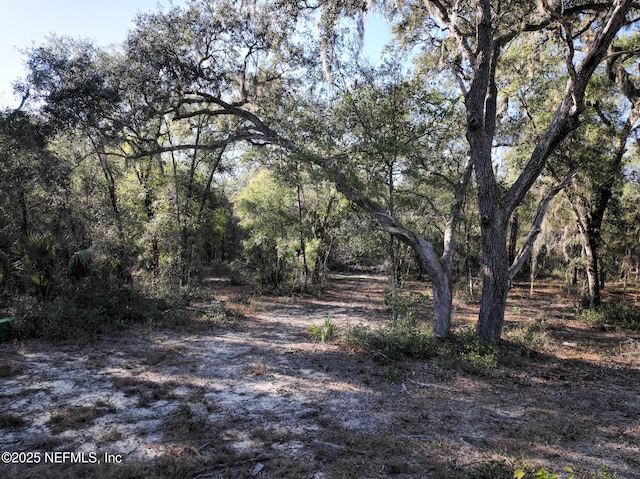 Listing photo 2 for 1551 State Road 100, Melrose FL 32666