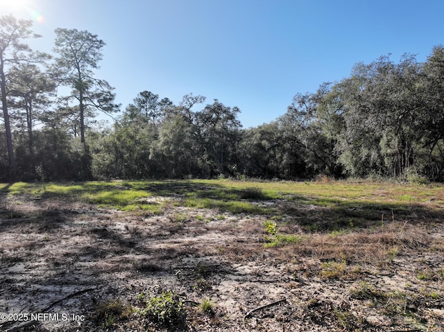 Listing photo 3 for 1551 State Road 100, Melrose FL 32666