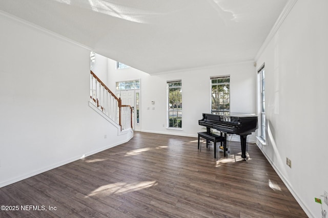 interior space featuring dark hardwood / wood-style flooring and ornamental molding