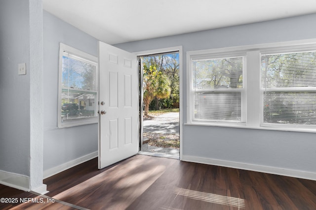 foyer entrance featuring dark hardwood / wood-style flooring and a wealth of natural light