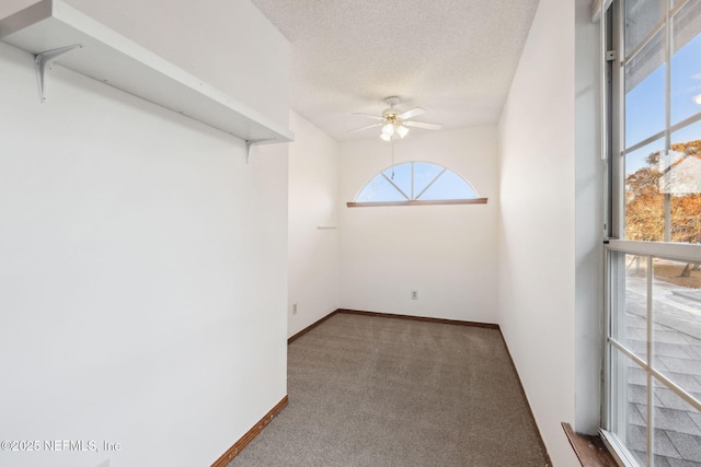 spare room with carpet flooring, ceiling fan, and a textured ceiling