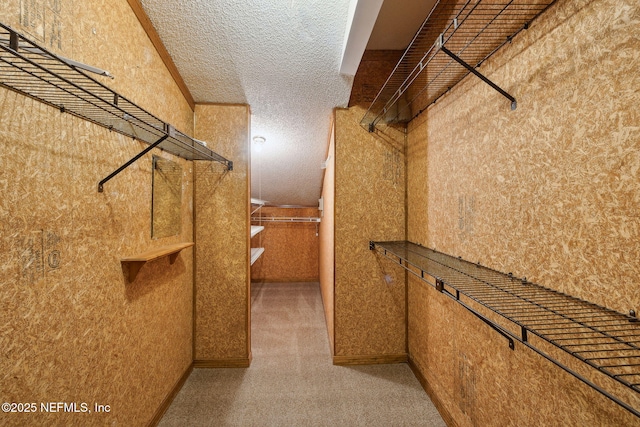 walk in closet with carpet flooring