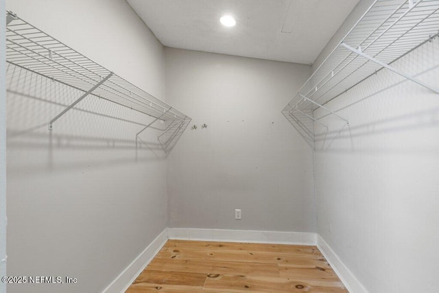 spacious closet with hardwood / wood-style flooring