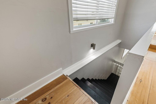 staircase with wood-type flooring