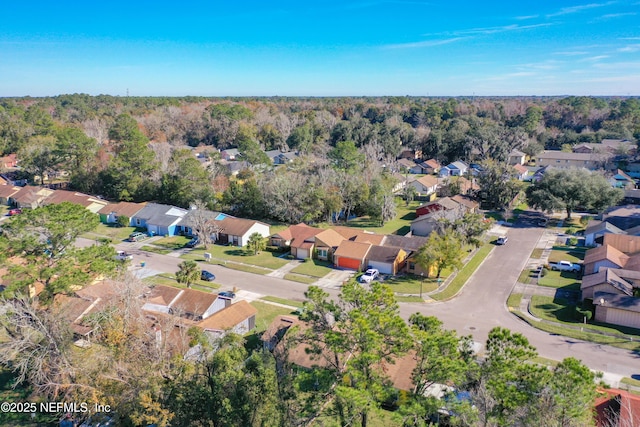 bird's eye view