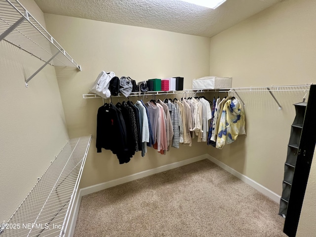 walk in closet with carpet