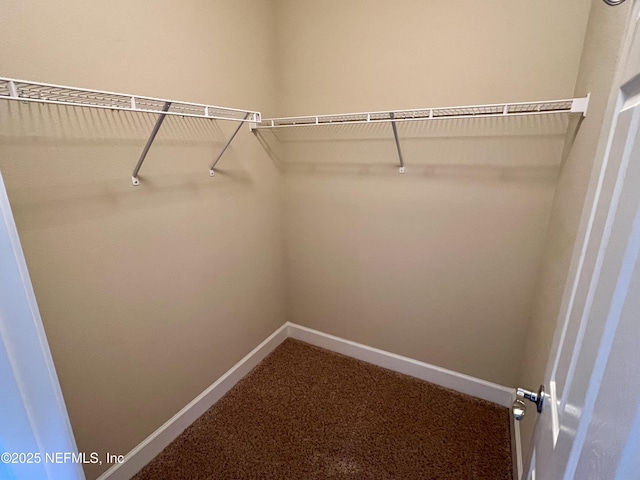 spacious closet with carpet flooring