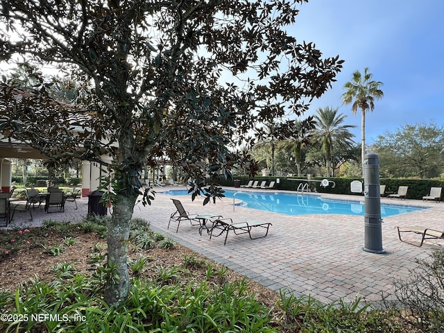 view of swimming pool featuring a patio