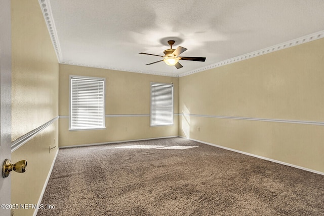 spare room featuring carpet, ceiling fan, and ornamental molding