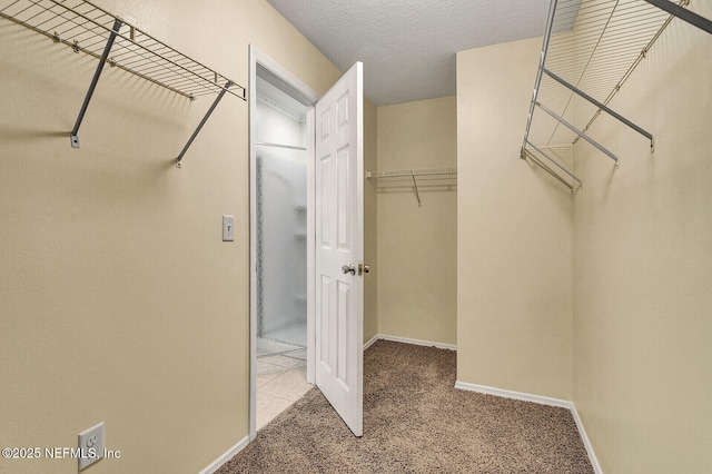 spacious closet featuring carpet floors