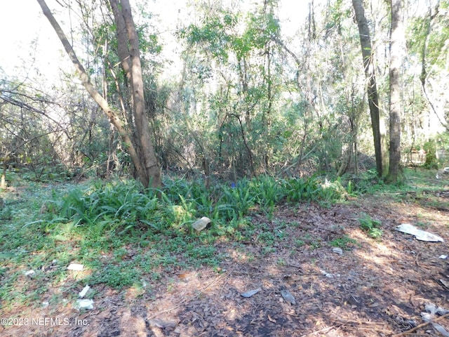 0 Leo St, Jacksonville, FL 32208