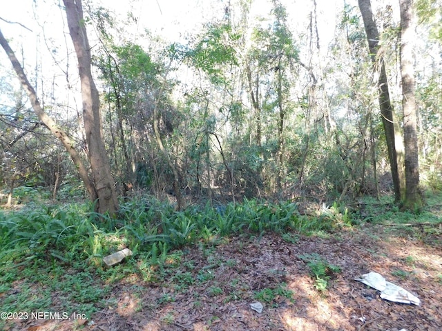 0 Leo St, Jacksonville, FL 32208 - photo 7