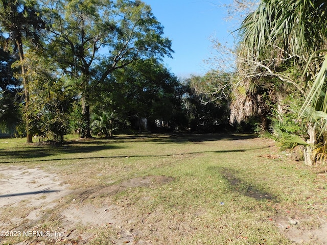 Listing photo 3 for 0 Plateau St, Jacksonville FL 32206