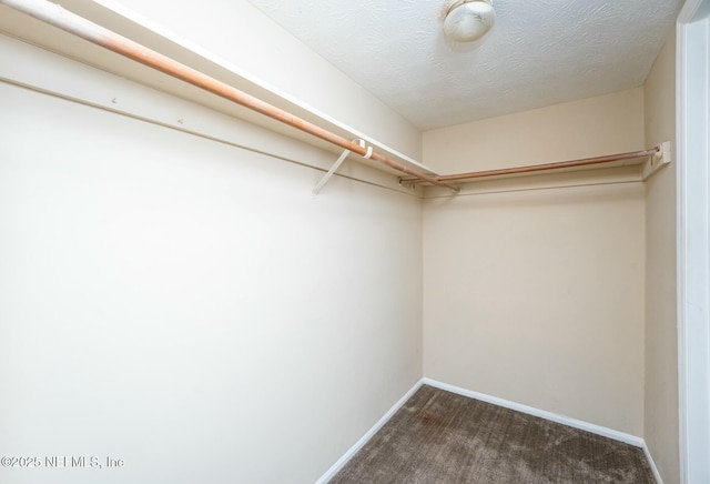 spacious closet featuring dark carpet