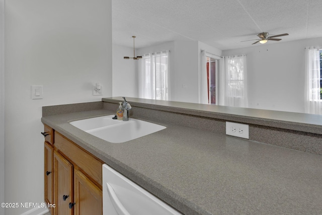 kitchen with a wealth of natural light, sink, white dishwasher, and a textured ceiling