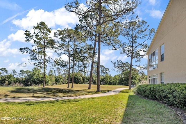 view of yard